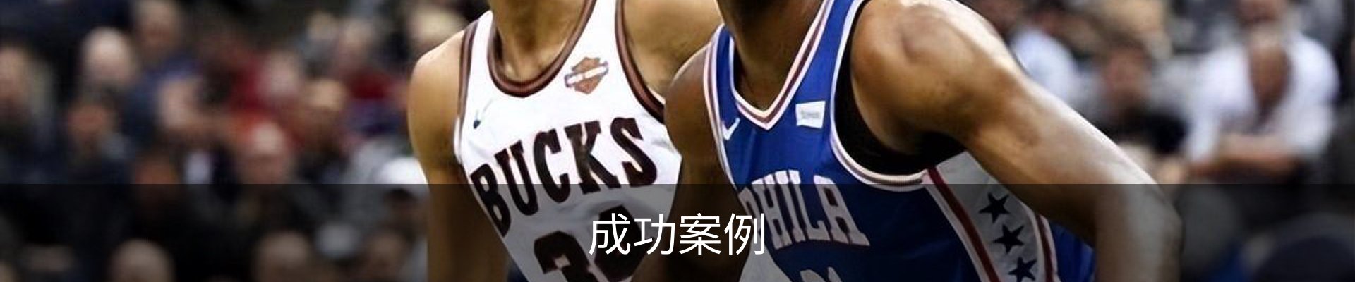 成功案例
